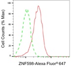 ZNF598 Antibody in Flow Cytometry (Flow)