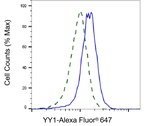 YY1 Antibody in Flow Cytometry (Flow)