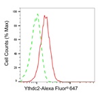 YTHDC2 Antibody in Flow Cytometry (Flow)