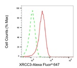 XRCC3 Antibody in Flow Cytometry (Flow)
