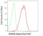 WWOX Antibody in Flow Cytometry (Flow)