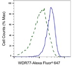 WDR77 Antibody in Flow Cytometry (Flow)