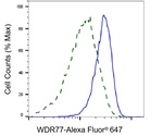WDR77 Antibody in Flow Cytometry (Flow)