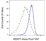 WDR77 Antibody in Flow Cytometry (Flow)