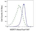 WDR77 Antibody in Flow Cytometry (Flow)