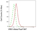 VRK1 Antibody in Flow Cytometry (Flow)