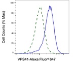 VPS41 Antibody in Flow Cytometry (Flow)