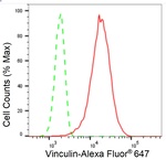 Vinculin Antibody in Flow Cytometry (Flow)
