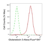 TXNL2 Antibody in Flow Cytometry (Flow)