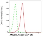 TXNDC9 Antibody in Flow Cytometry (Flow)
