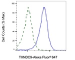 TXNDC9 Antibody in Flow Cytometry (Flow)