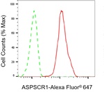 Tug Antibody in Flow Cytometry (Flow)