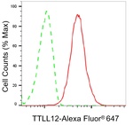 TTLL12 Antibody in Flow Cytometry (Flow)