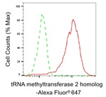 TRMT2A Antibody in Flow Cytometry (Flow)