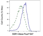 TRAP alpha Antibody in Flow Cytometry (Flow)