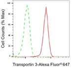 TNPO3 Antibody in Flow Cytometry (Flow)