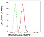 TMEM9B Antibody in Flow Cytometry (Flow)