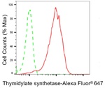 Thymidylate Synthase Antibody in Flow Cytometry (Flow)