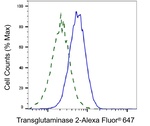 TGM2 Antibody in Flow Cytometry (Flow)