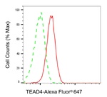 TEAD4 Antibody in Flow Cytometry (Flow)