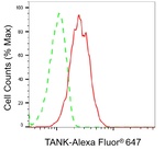 TANK Antibody in Flow Cytometry (Flow)