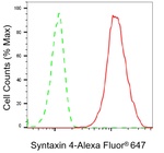 Syntaxin 4 Antibody in Flow Cytometry (Flow)
