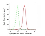 STX17 Antibody in Flow Cytometry (Flow)