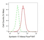 STX17 Antibody in Flow Cytometry (Flow)
