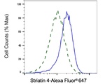 STRN4 Antibody in Flow Cytometry (Flow)