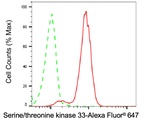 STK33 Antibody in Flow Cytometry (Flow)