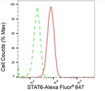 STAT6 Antibody in Flow Cytometry (Flow)