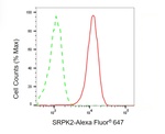 SRPK2 Antibody in Flow Cytometry (Flow)