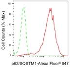 SQSTM1 Antibody in Flow Cytometry (Flow)