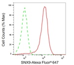 SNX9 Antibody in Flow Cytometry (Flow)