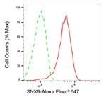 SNX9 Antibody in Flow Cytometry (Flow)