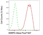 SNRPC Antibody in Flow Cytometry (Flow)