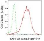 SNRPA1 Antibody in Flow Cytometry (Flow)