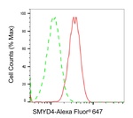 SMYD4 Antibody in Flow Cytometry (Flow)