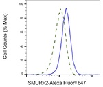 SMURF2 Antibody in Flow Cytometry (Flow)
