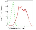SLBP Antibody in Flow Cytometry (Flow)