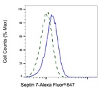 Septin-7 Antibody in Flow Cytometry (Flow)