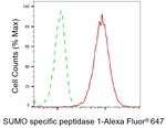 SENP1 Antibody in Flow Cytometry (Flow)