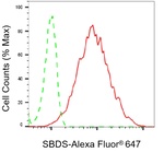 SBDS Antibody in Flow Cytometry (Flow)