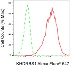 SAM68 Antibody in Flow Cytometry (Flow)