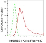 SAM68 Antibody in Flow Cytometry (Flow)