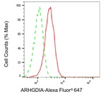 RhoGDI Antibody in Flow Cytometry (Flow)