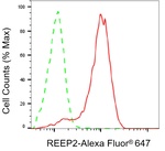 REEP2 Antibody in Flow Cytometry (Flow)