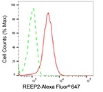REEP2 Antibody in Flow Cytometry (Flow)
