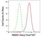 RBMS1 Antibody in Flow Cytometry (Flow)