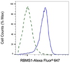 RBMS1 Antibody in Flow Cytometry (Flow)